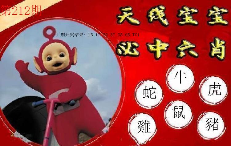 第211期
