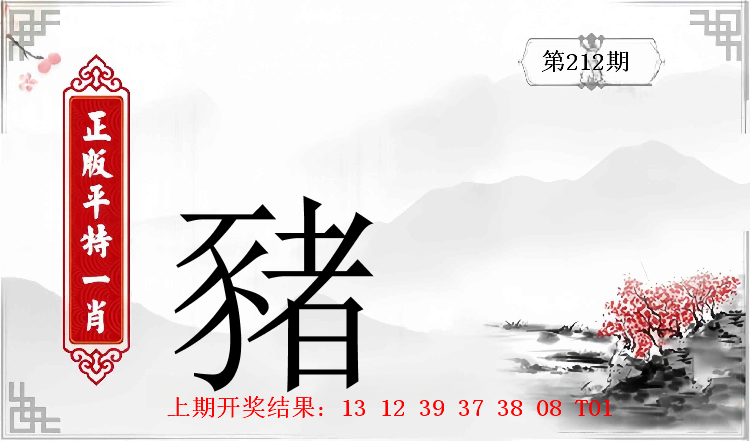 第211期