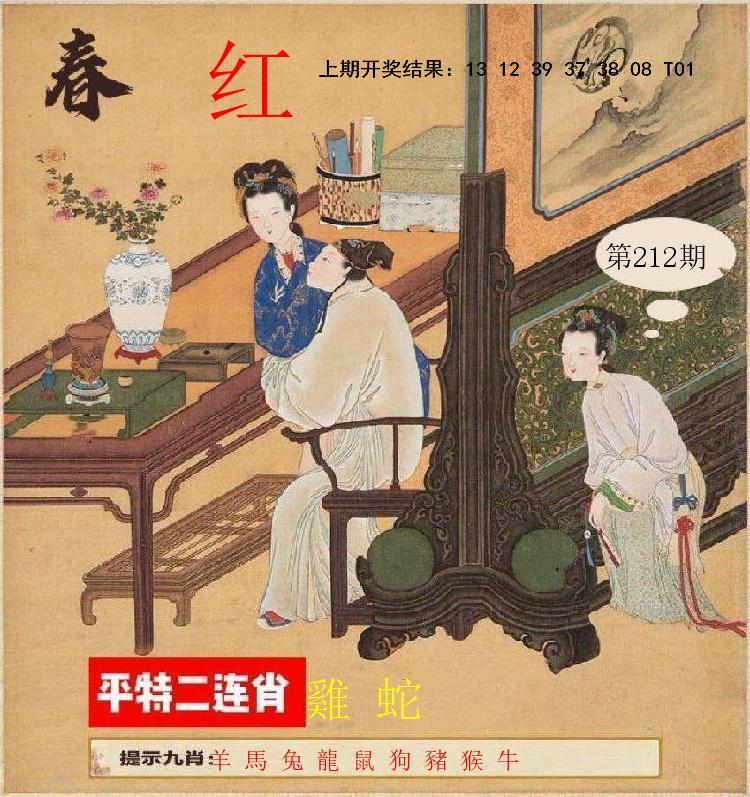 第211期